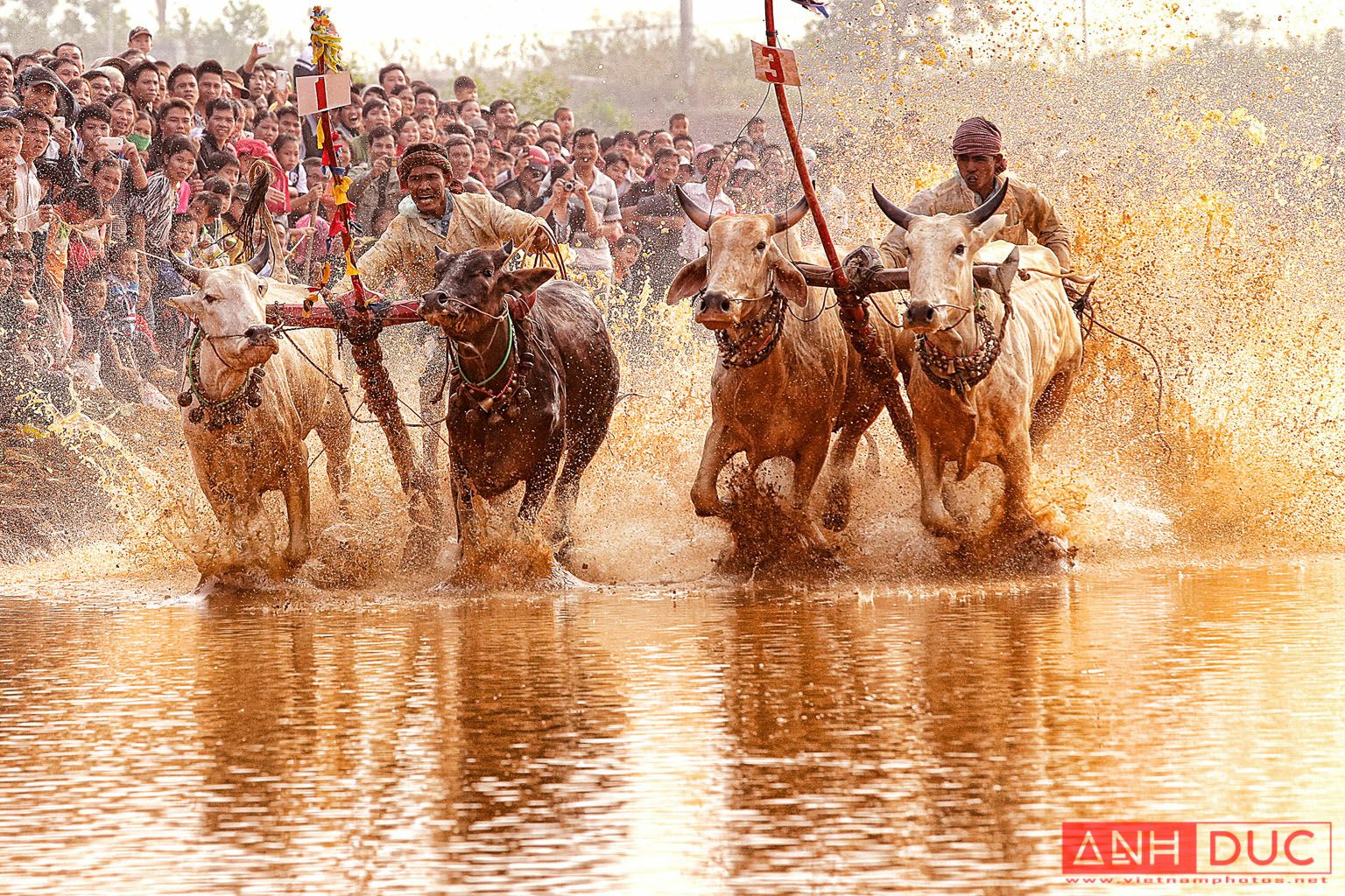 Truong Anh Duc Press Photographer - Vietnam Photos